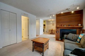 Living Room Open to Dining Area